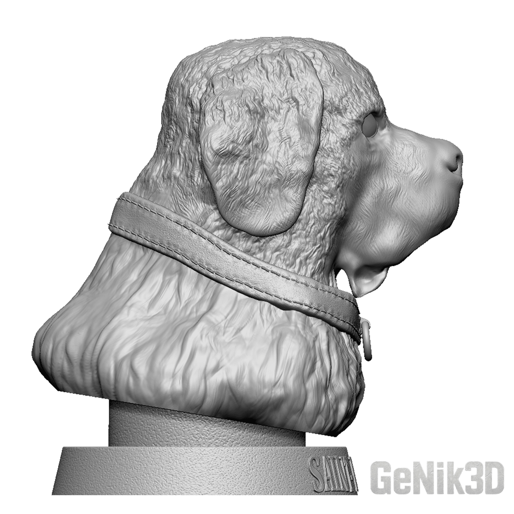 Buste de Saint-Bernard – Fichier STL pour impression 3D